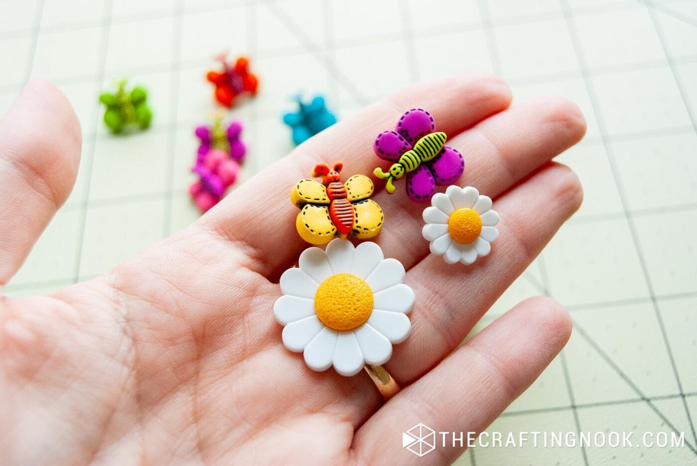 showing daisies and butterfly buttons in palm of hand