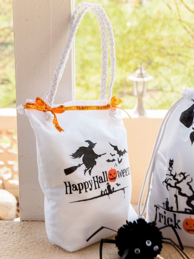 STR Halloween trick or treat bags