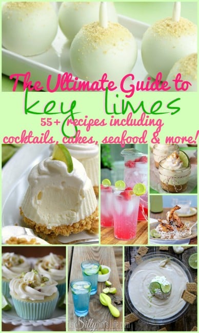  Key Limes: 55+ Recipes by This sillygirls kitchen