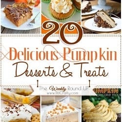 20 Delicious Pumpkin Desserts & Treats 20 Delicious Pumpkin Desserts & Treats recipes that will make you drool this Fall!