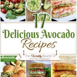 17 Delicious Avocado Recipes {The Weekly Round Up} 17 Delicious Avocado Recipes Round Up