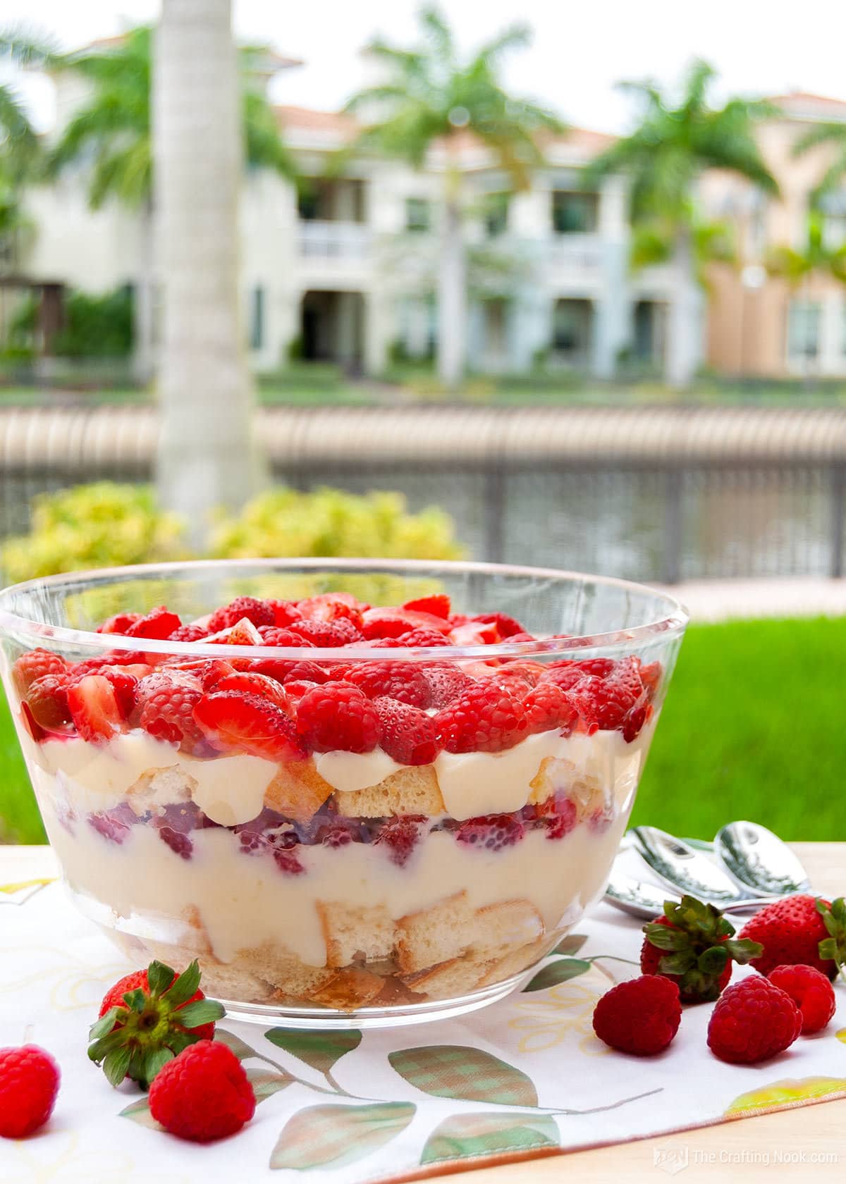 Front shot of the Red Berry Trifle