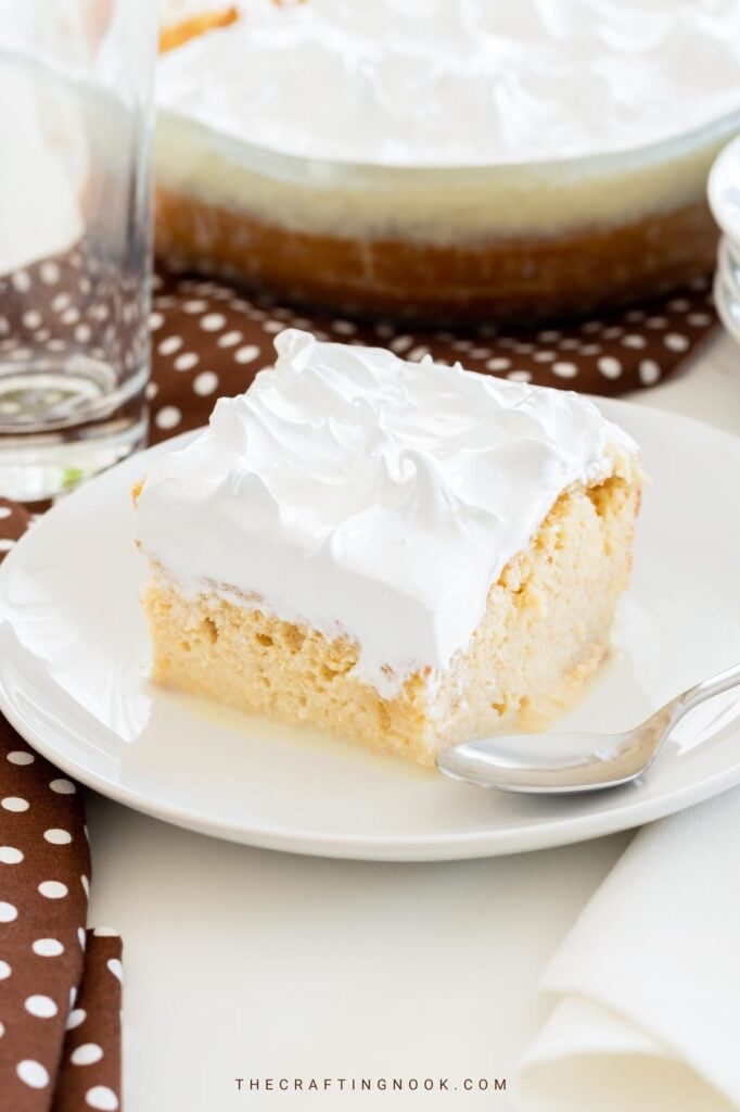 Delicious Tres Leches Cake (Three Milks Cake) cover image