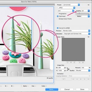 optimize images without losing quality optimize images without losing quality