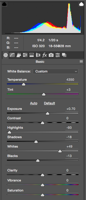Screen Shot of camera Raw panel