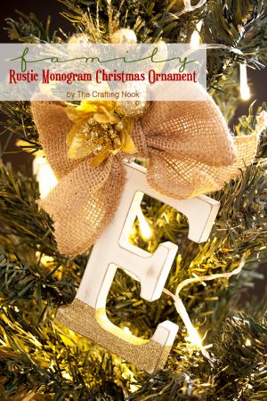 Cute and Easy DIY Family Rustic Monogram Christmas Ornaments