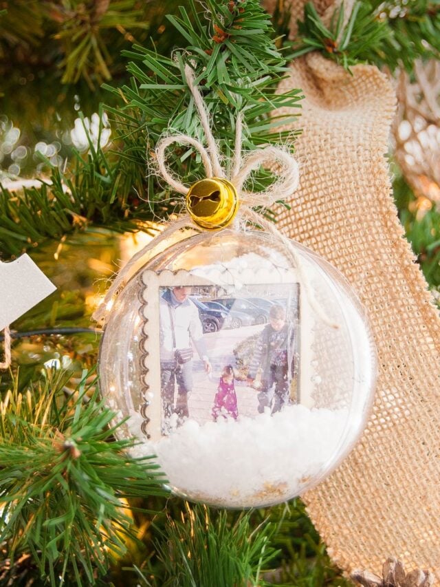 Cute DIY Memory Keepsake Christmas Ornament Snow Globe on the tree