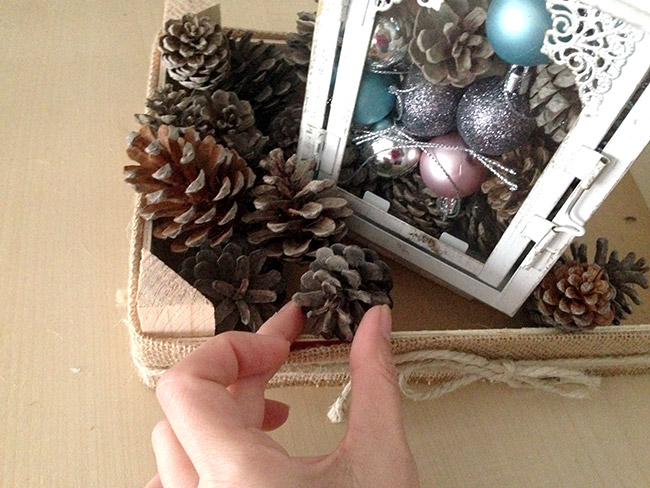 closer view of  pinecones inside the fruit crate