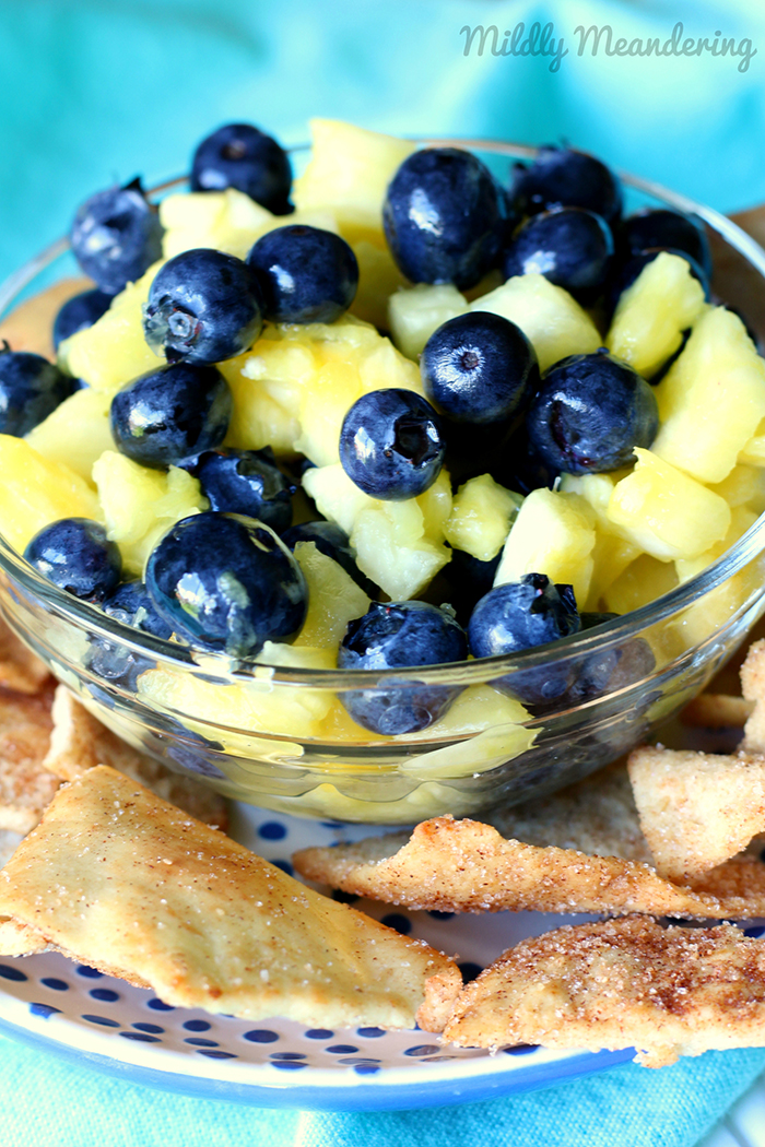 Blueberry Pineapple Fruit Salsa Recipe Cover Image