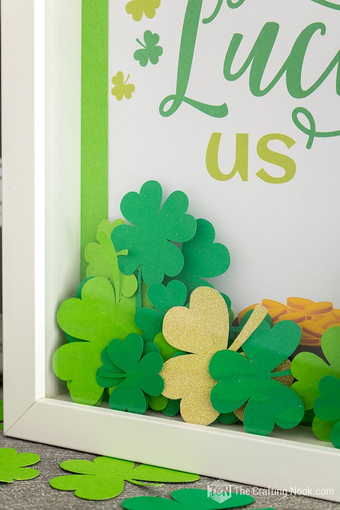 Closeup of the shamrocks and the gold clover