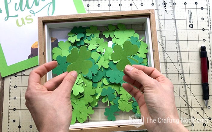 different types of clovers going in the frame