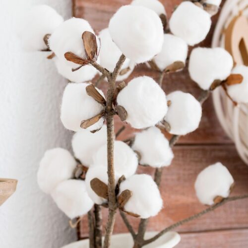 Closeup of the Faux DIY Cotton Stems (In a few Simple Steps) placed in a jar Cover image