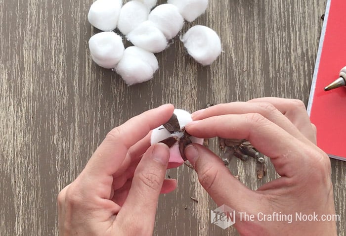 superior view making the cotton base with four pinecone scales
