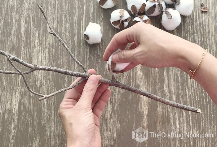 sticking the cotton balls to the dry branch
