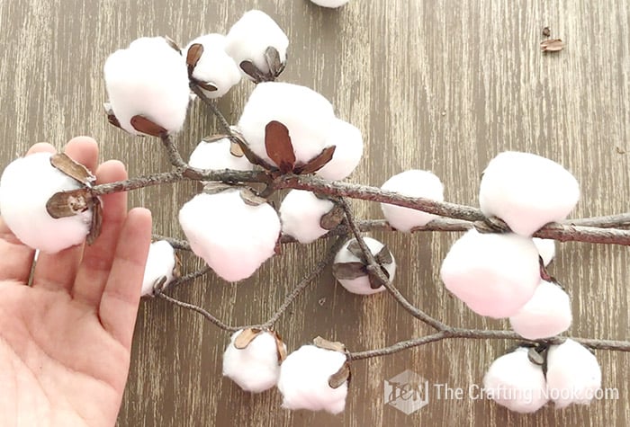 showing several dry branches with the cotton balls already attached
