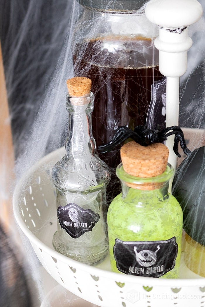 Potion ingredient Halloween bottles  
