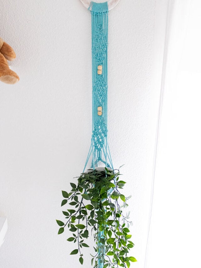 DIY Macrame Plant Hanger with plant on the wallCover image