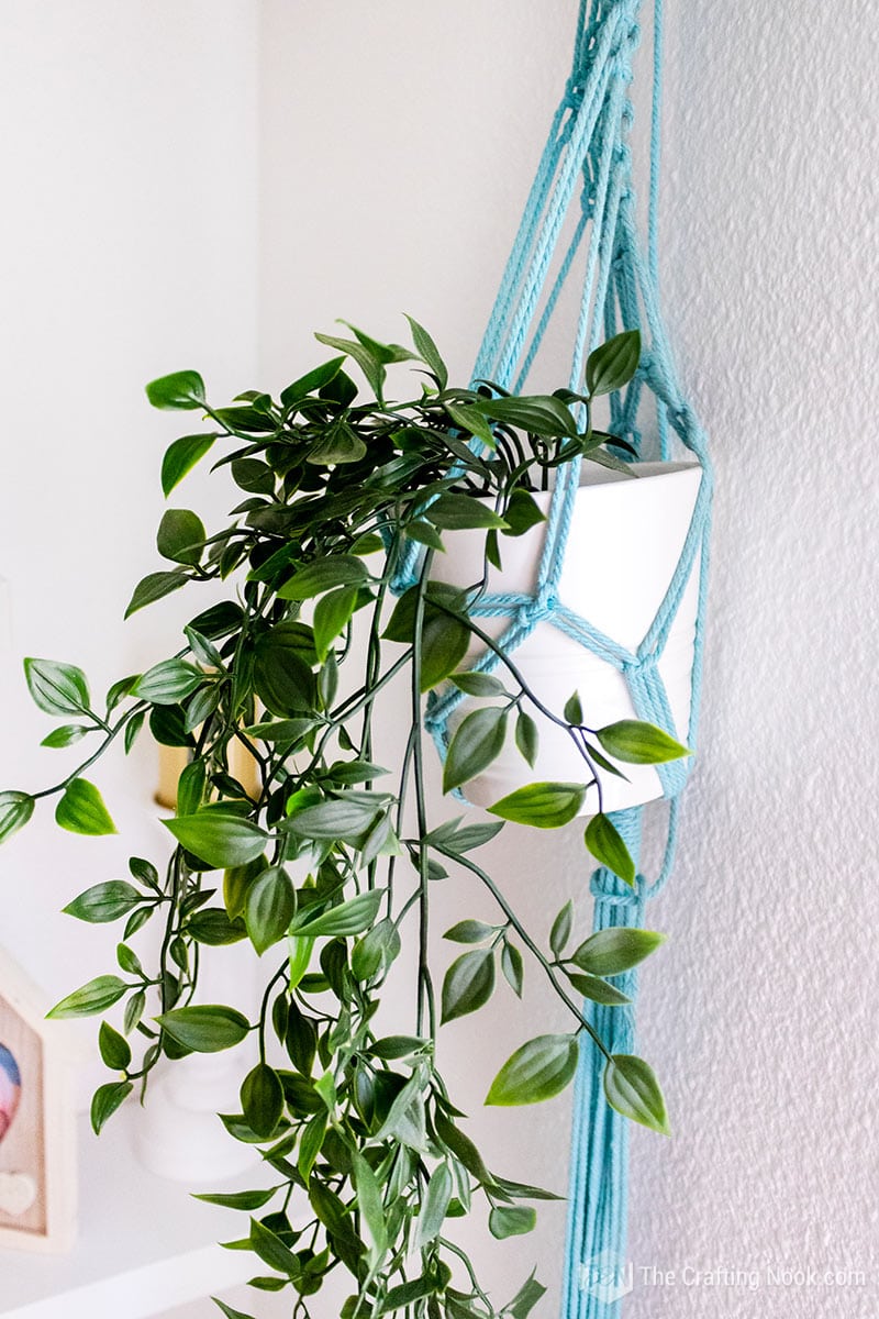 DIY Macrame Plant Hanger basket with the plant post in it