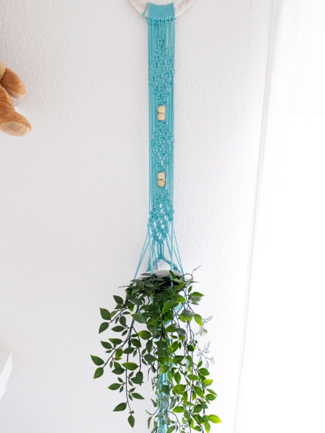Macrame plant hanger with green trailing plant on white wall.