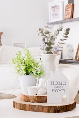 Living room decor with plants and eucaliptus