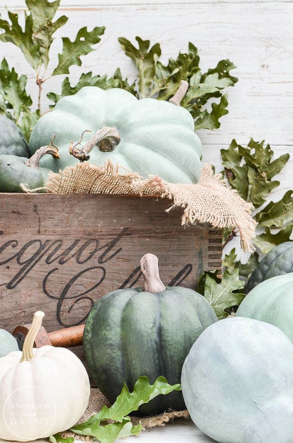 Dry Brushed Chalk Painted Pumpkins cover