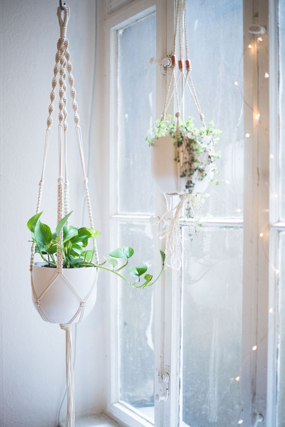 Cute Macrame Plant Hanger by Hey Lila Hey