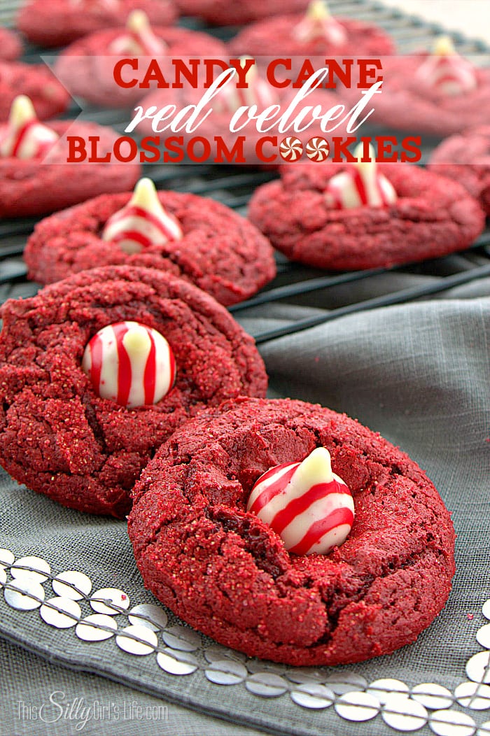 Candy Cane Red Velvet Blossom Cookies by This Silly Girl's Kitchen