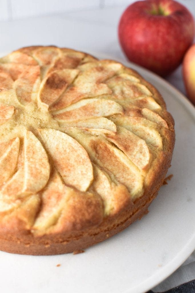 French Apple Cake By The Dizzy Cook