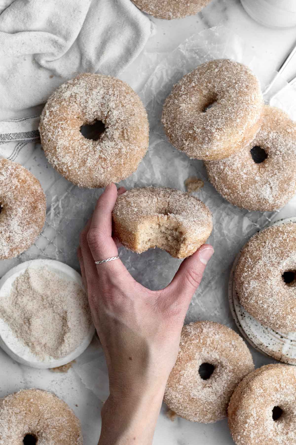 Fall Apple Dessert Cinnamon Sugar Donuts By Lane and Grey Fare