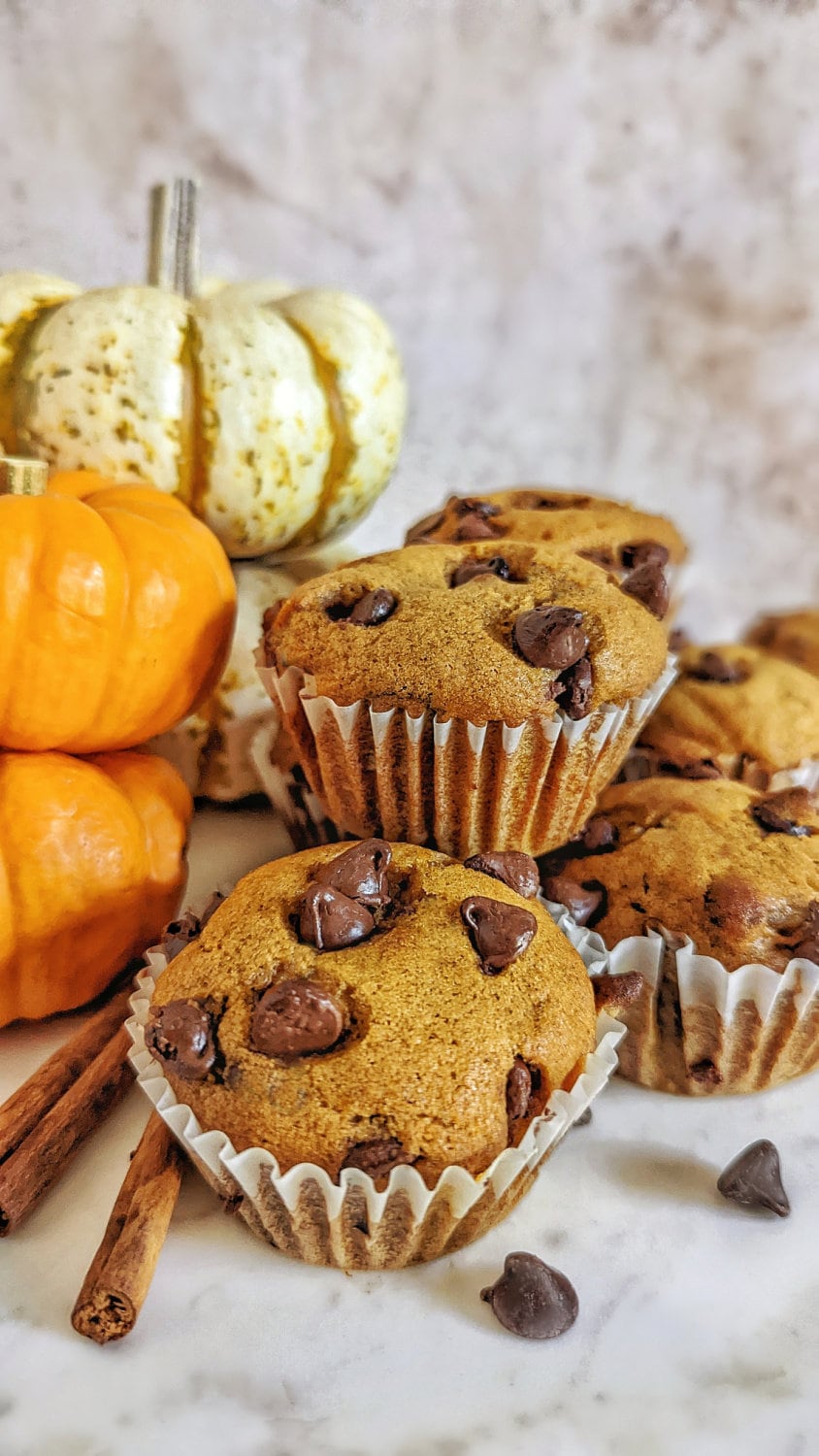 Pumpkin Chocolate Chip Muffins by My Pretty Brown Eats