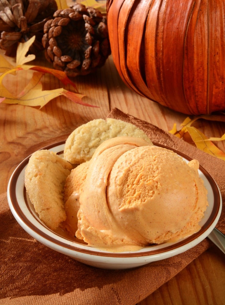 Pumpkin Ice Cream by Cooking School Dropout