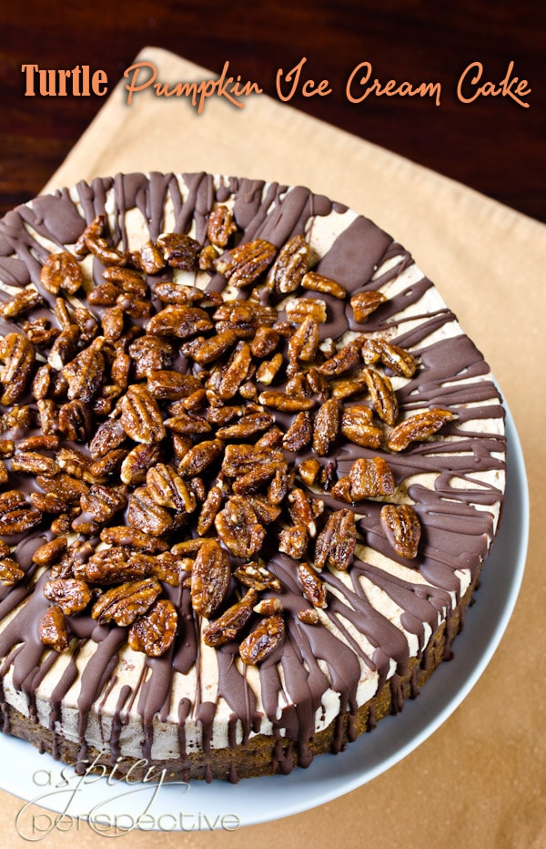 Turtle Pumpkin Ice Cream Cake by A Spicy Perspective