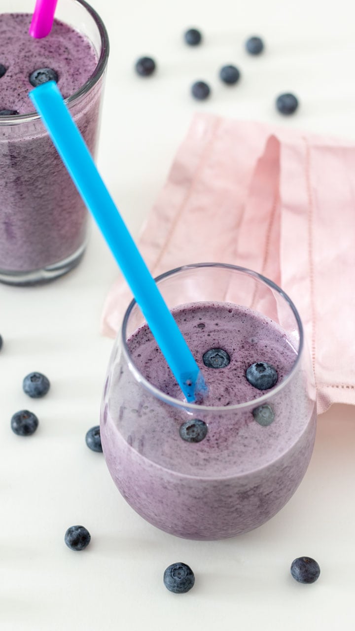 HEALTHY BLUEBERRY SMOOTHIE (DF & VEGAN) By Binkys Culinary Carnival