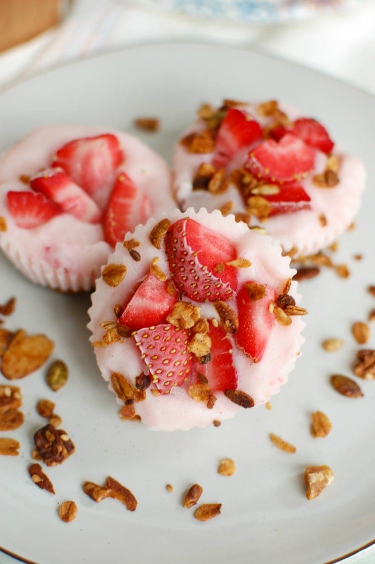 Frozen Yogurt Granola Bites by A Cedar Spoon