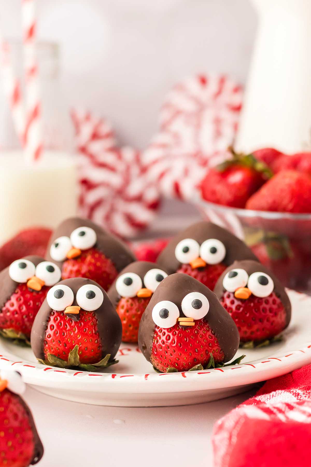 Chocolate Strawberry Birds by XOXO Bella