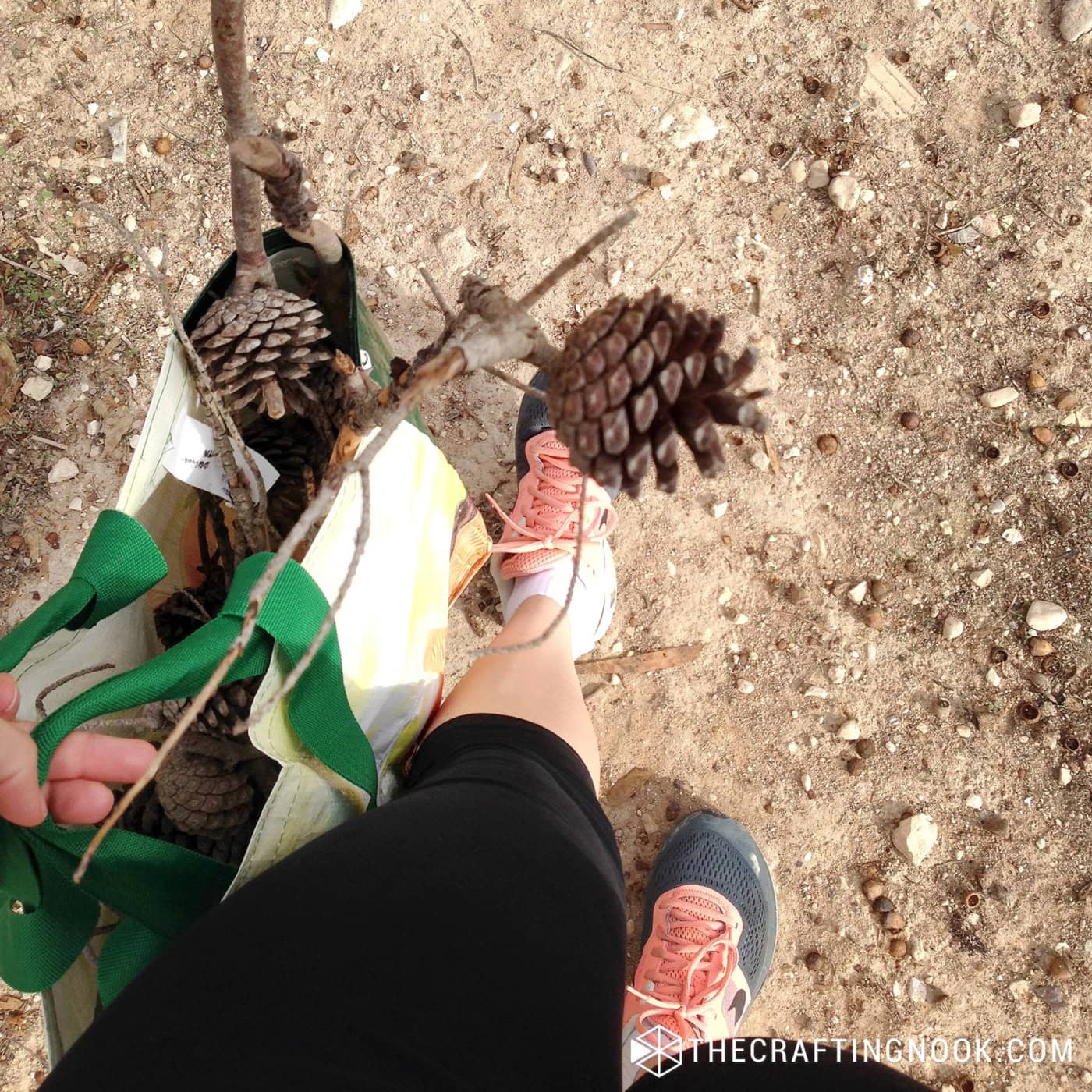 Woman in pink sneakers holding a tote bag of pinecones and twigs gathered outdoors