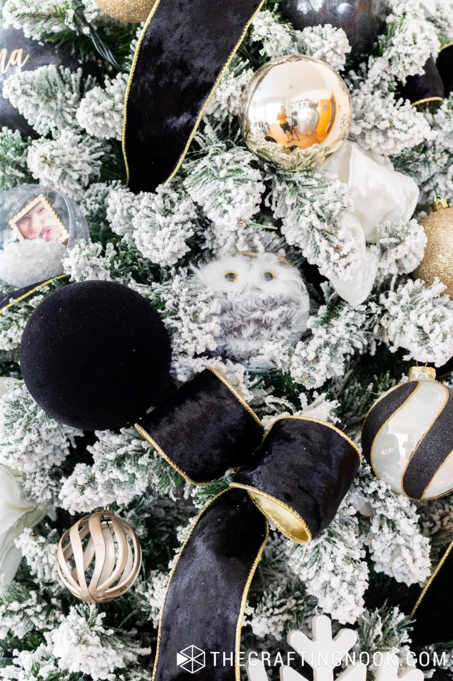 Small furry white and gray owl nestled among flocked Christmas branches, black velvet ornaments and black and gold ribbon.